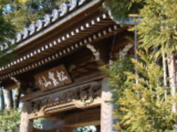 �r���O��